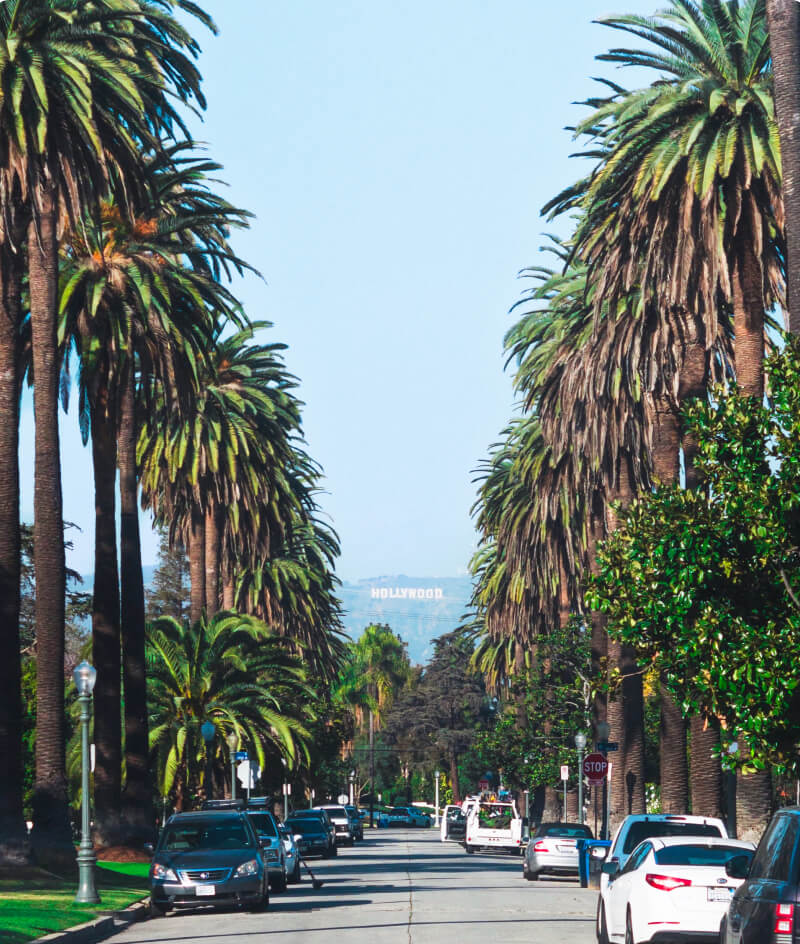 Saas Los Angeles Office - Saasy Webflow Template